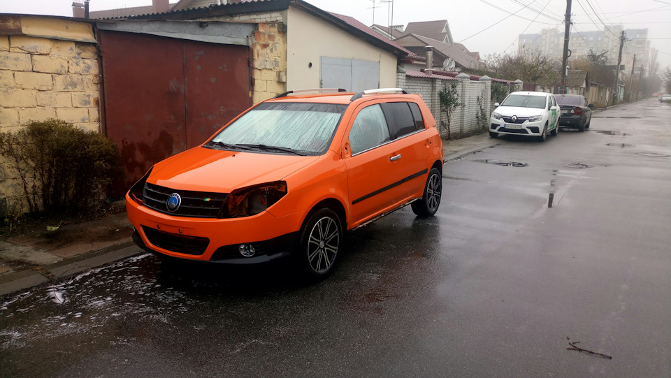 У рижика, рижики. 2