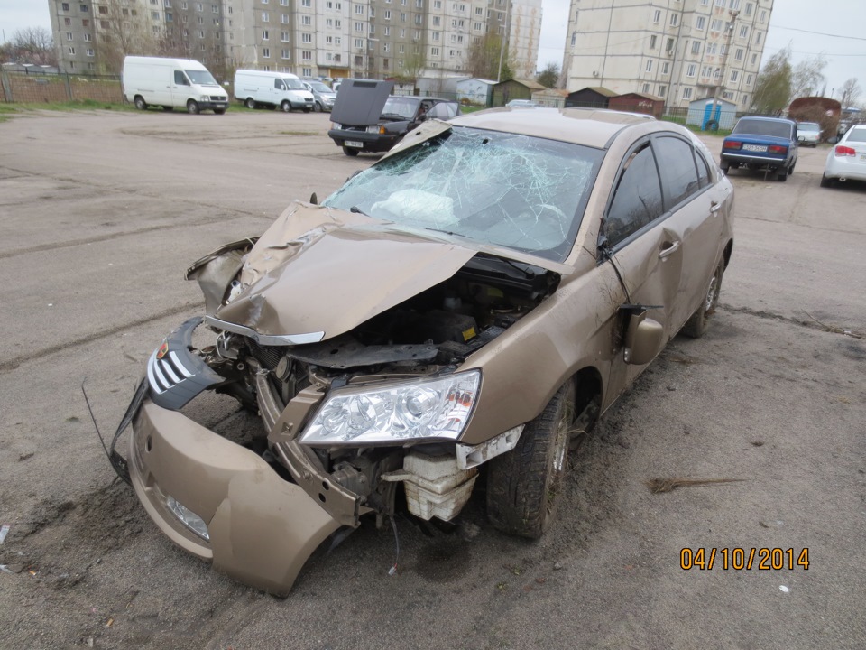 Убив об дерево. 1