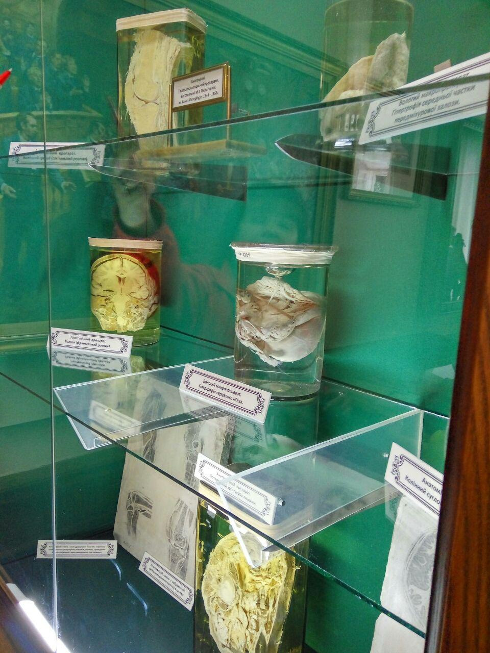 Подорож Вінниця Житомир Буки 3