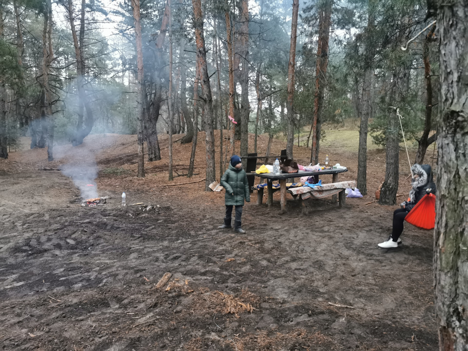 Покотушки в зимовий ліс. 3