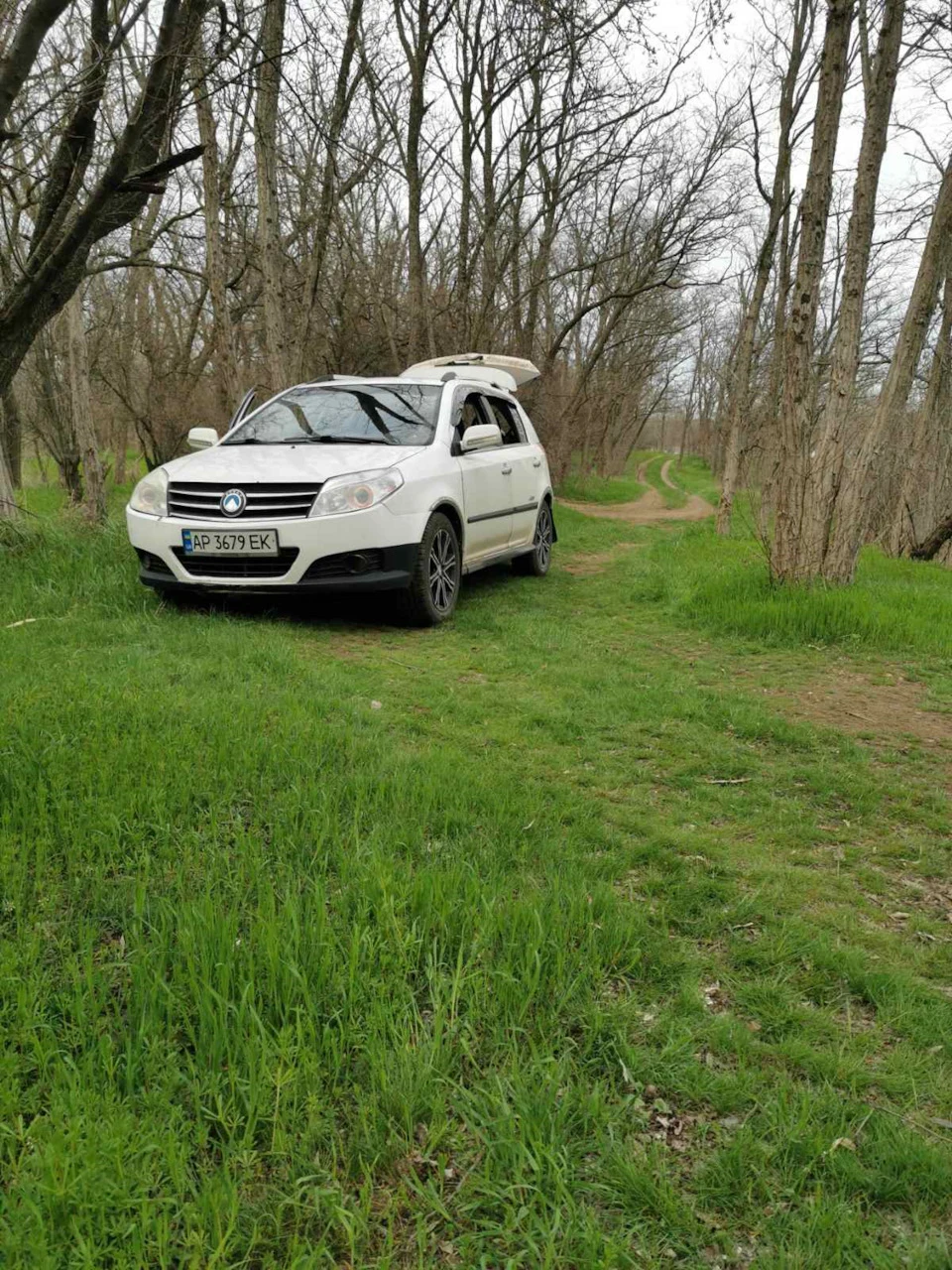 Весняні покотушки
