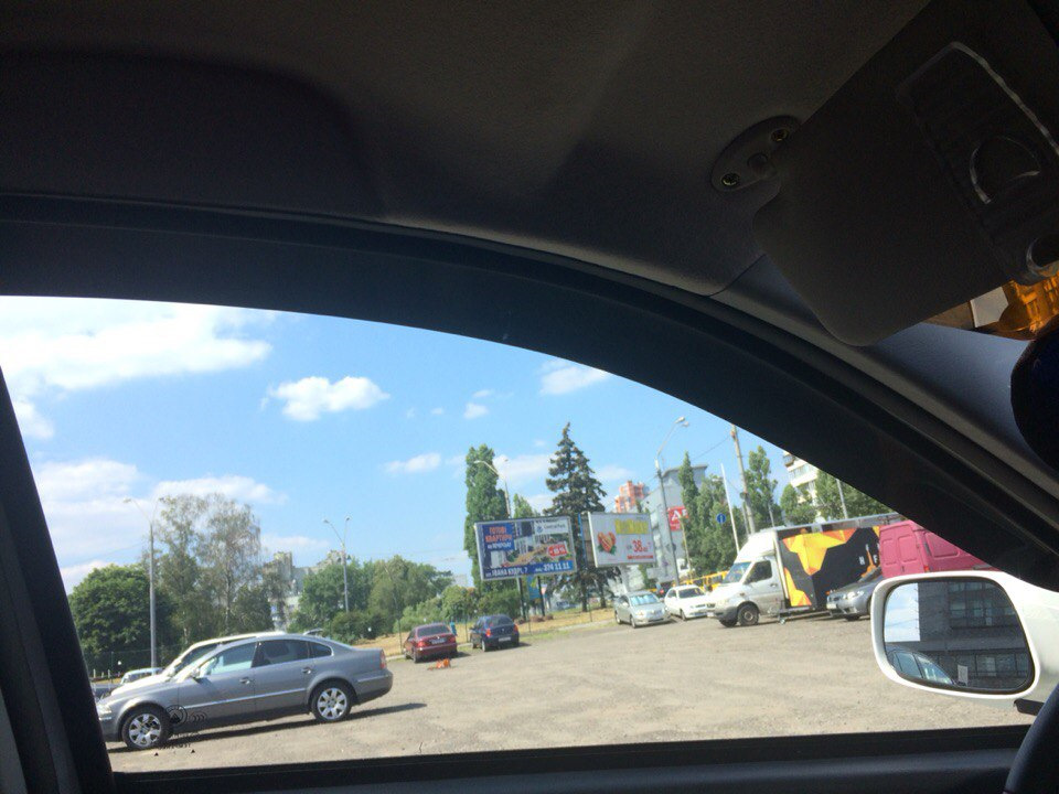 Вітровики 3