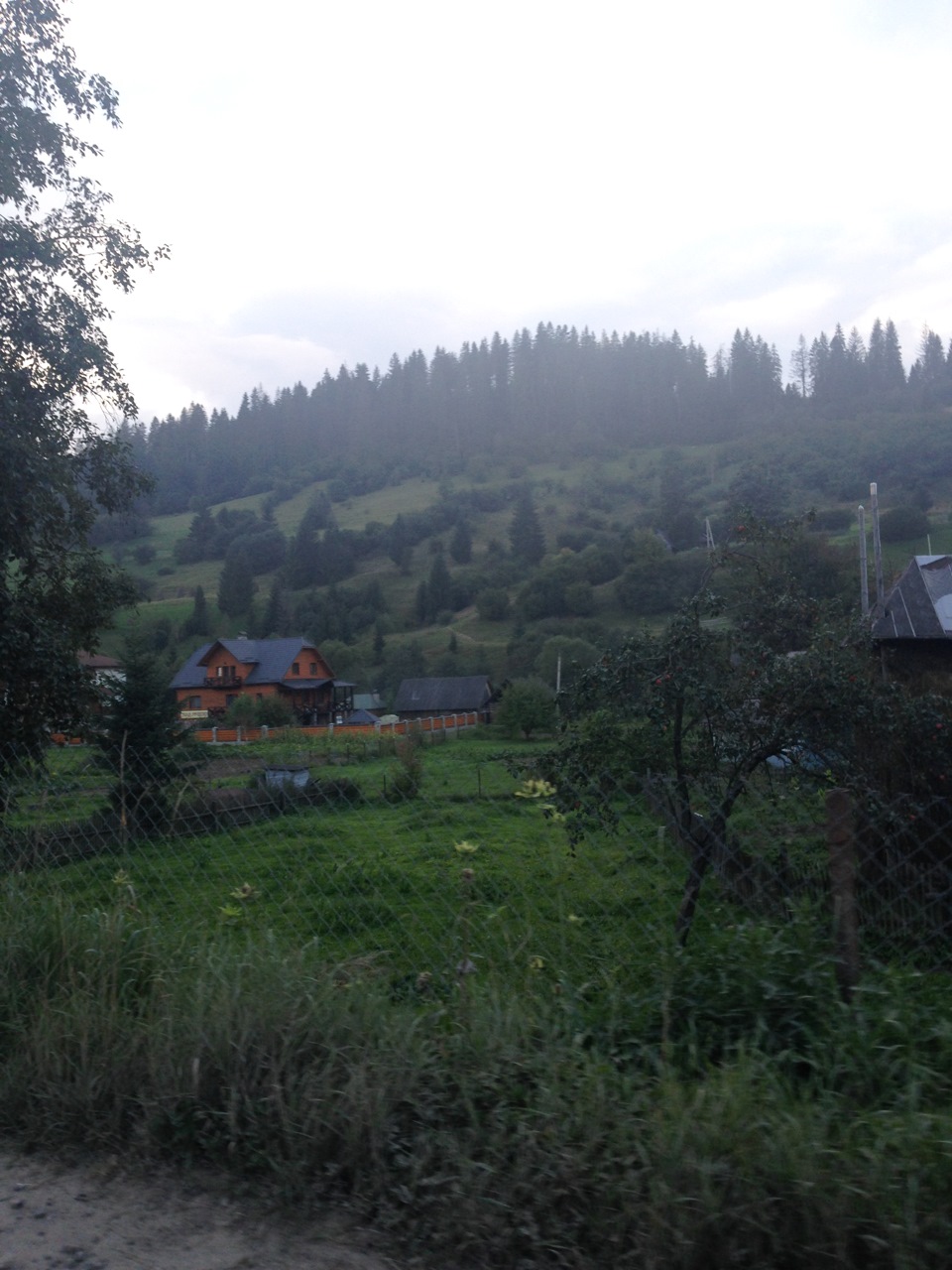 Поїздка до Карпат :) 1