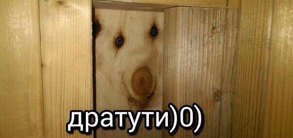 ЧИТАТЬ ВСЕМ! Не включаются передачи или куда копать! 1