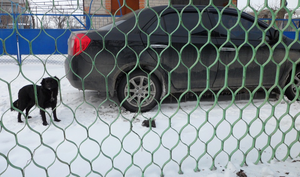 Брудний фотосет 4