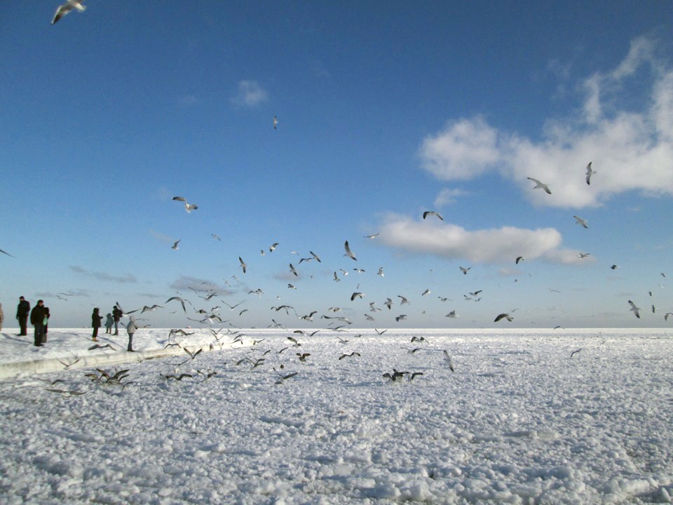 А у нас тут море замерзло 3