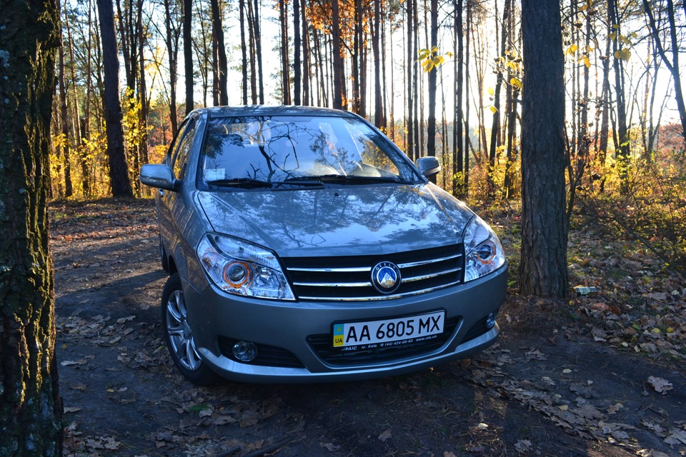 Поїздка до лісу 5
