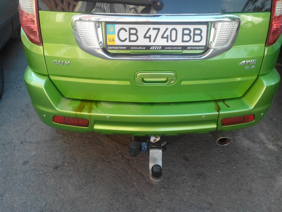 Перші проліски після антикора :) 1