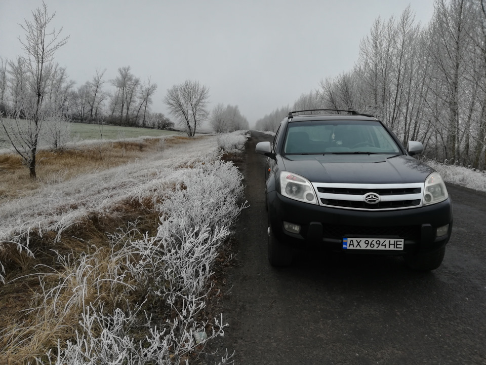 Ось і немає кенгуру 1