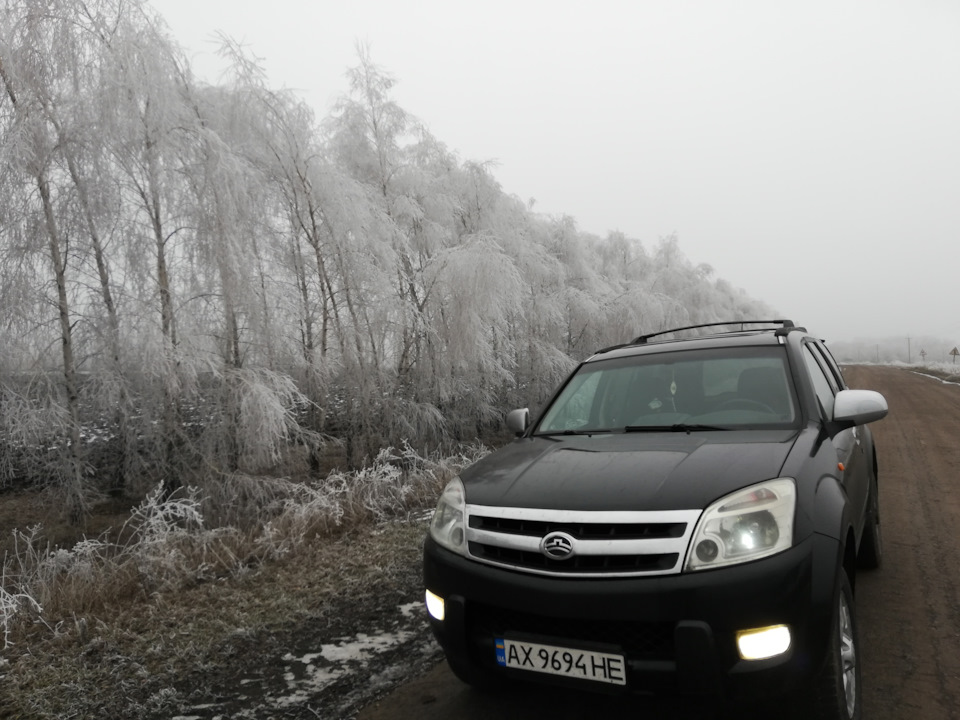 Ось і немає кенгуру 4