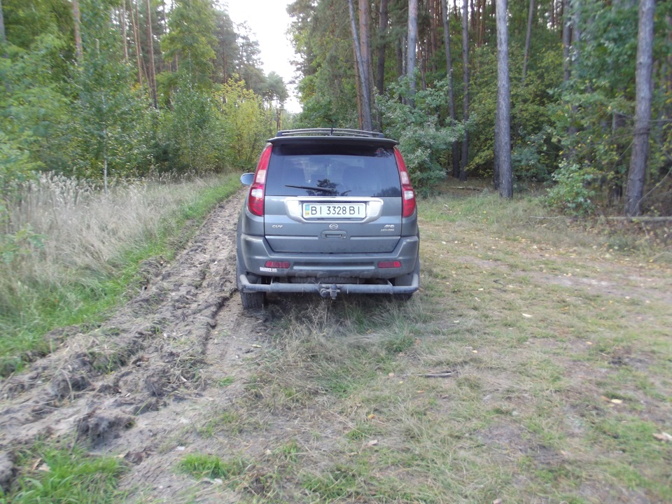 Дорога в осінь 3