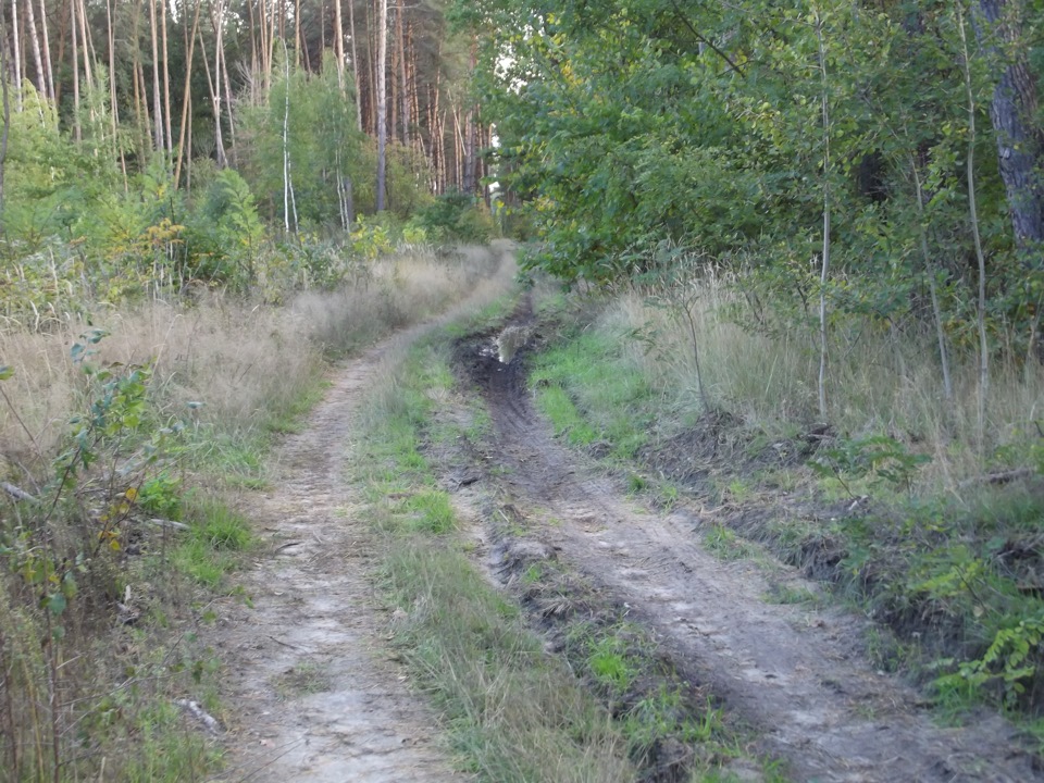 Дорога в осінь 1