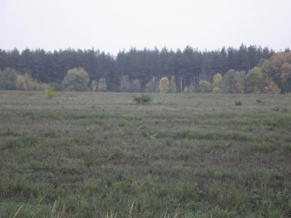 Фото з одного відрядження