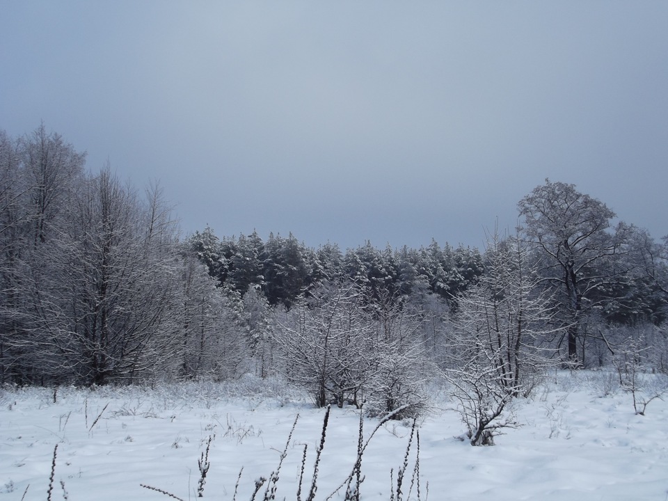 Les Winter 1