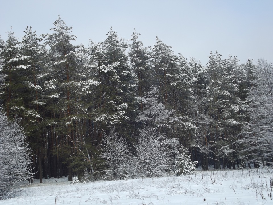 Les Winter 3