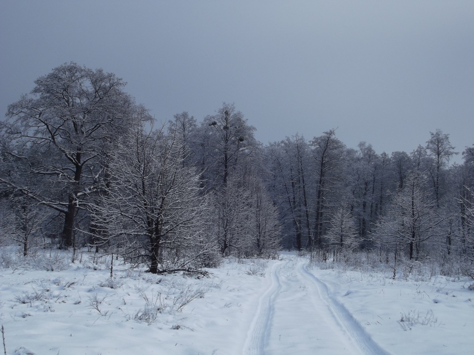 Les Winter 5