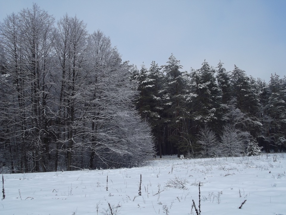 Les Winter 4