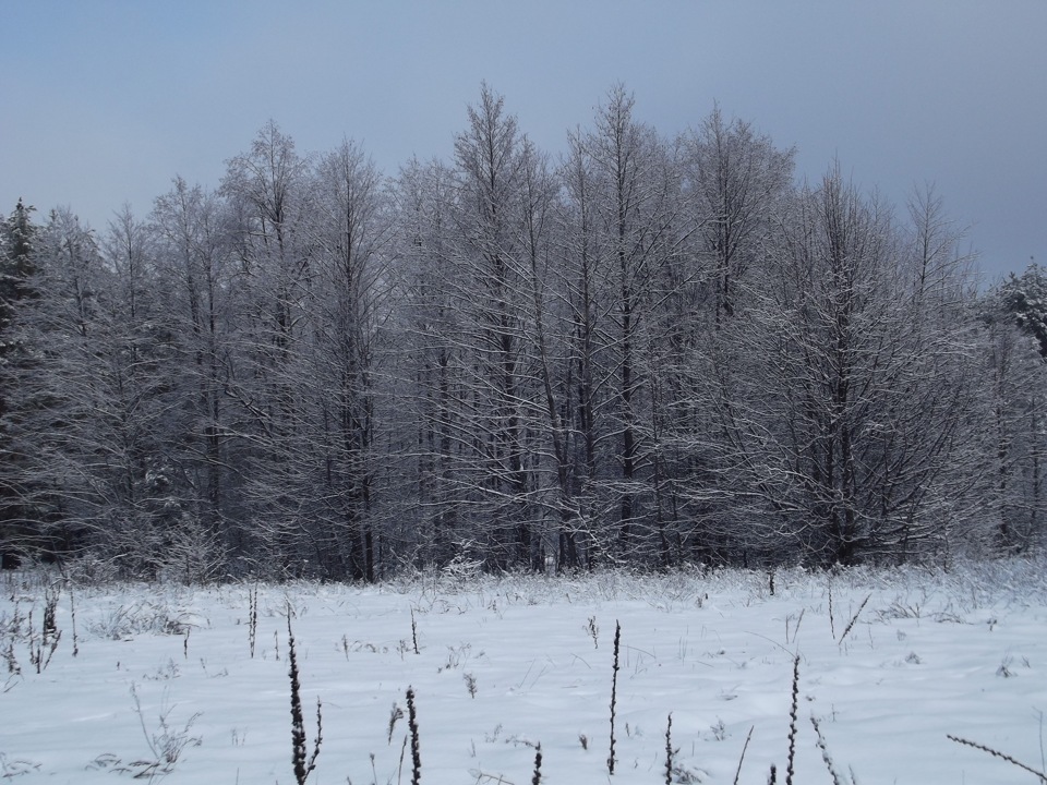 Les Winter 2