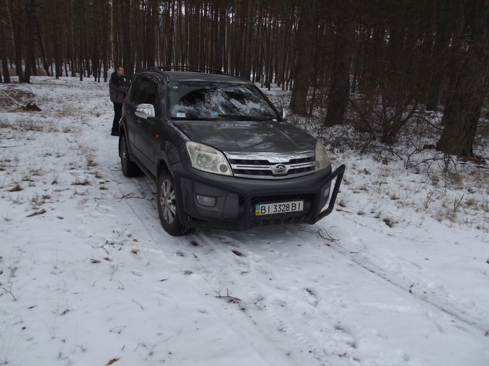 Перші зимові дні в лісі 3