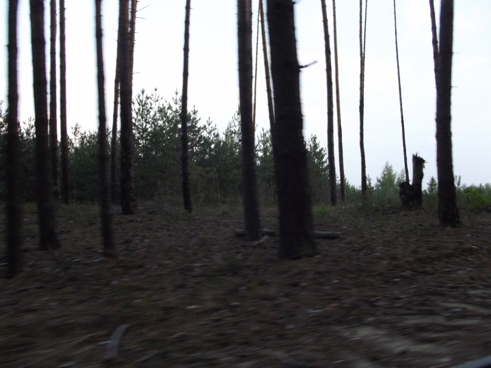 Останній літній день 2012р. 2