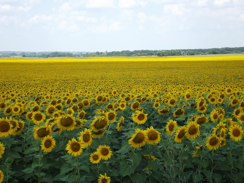 Просто кілька фоток 1