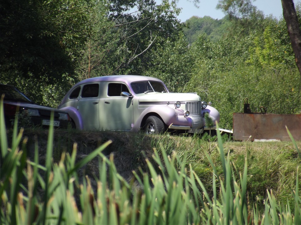 Сонце, річка 4