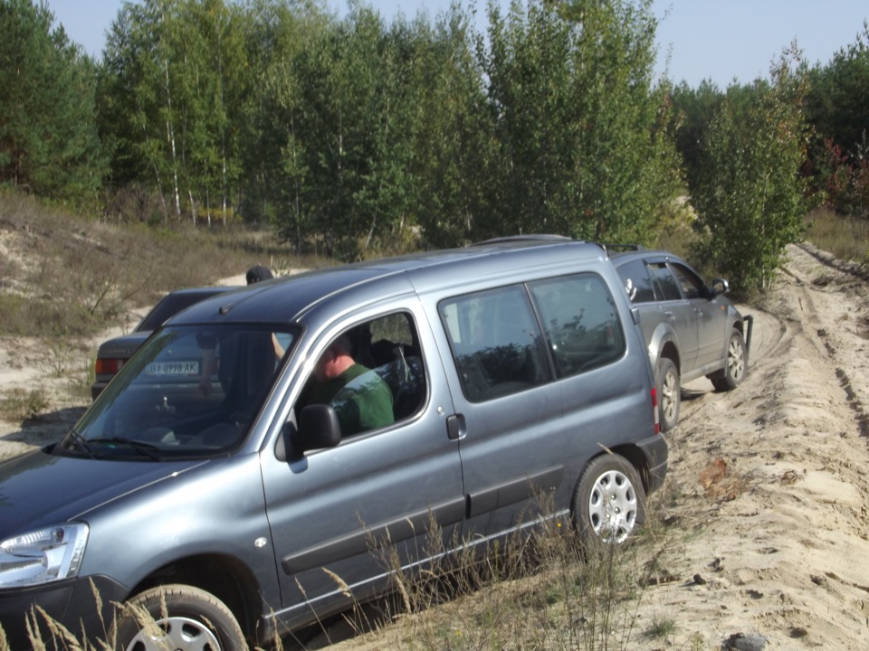 Врятували з піщаного полону 4