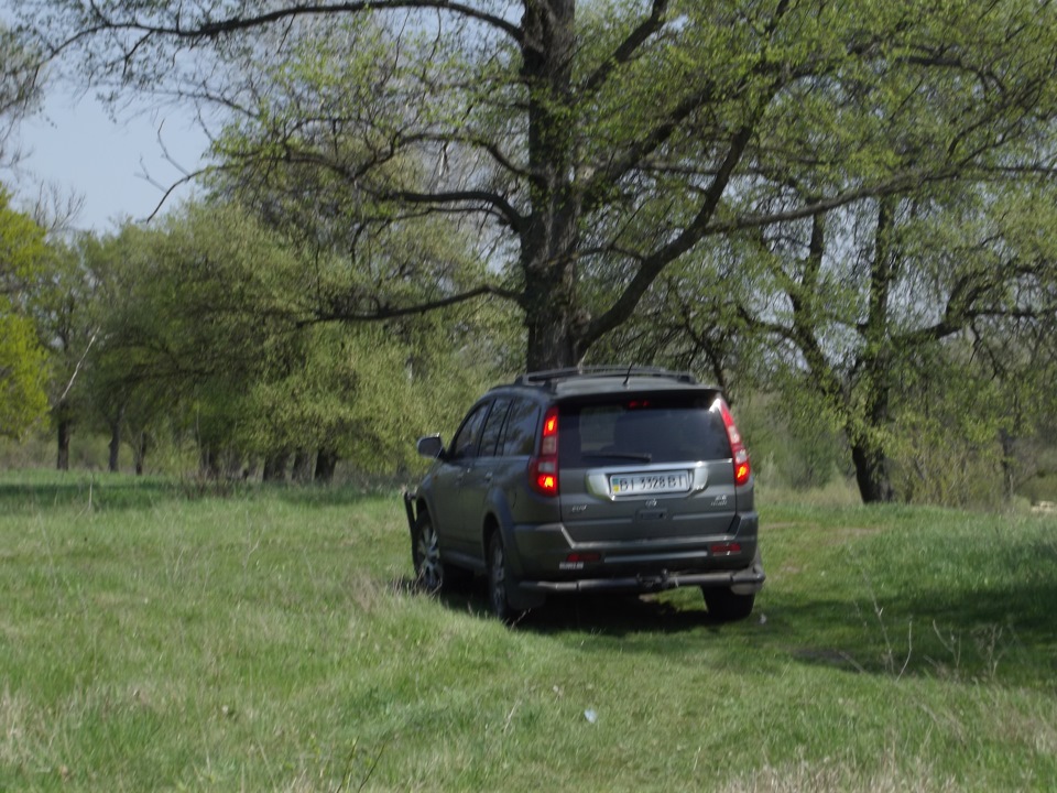 Травка зеленіє 3