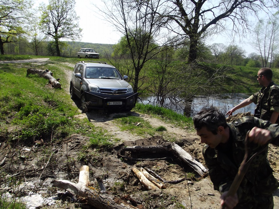 Травка зеленіє 4