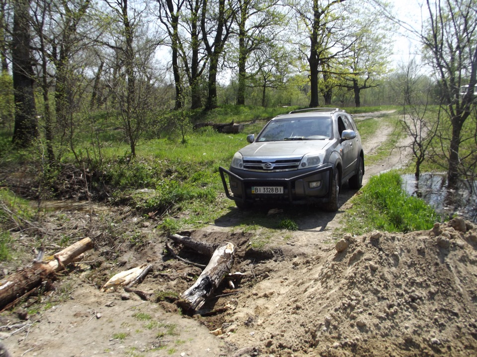 Травка зеленіє 5