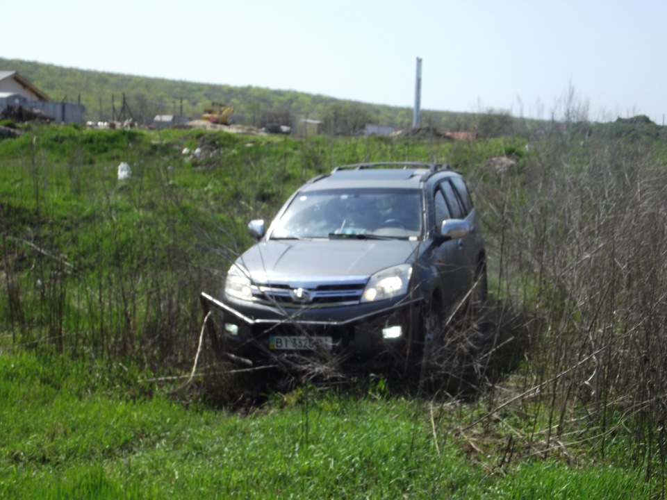 Травка зеленіє 2