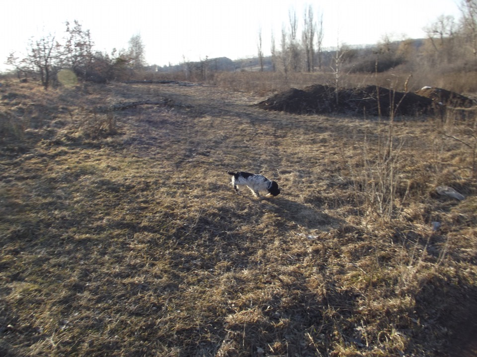 Ось такий віршик 5