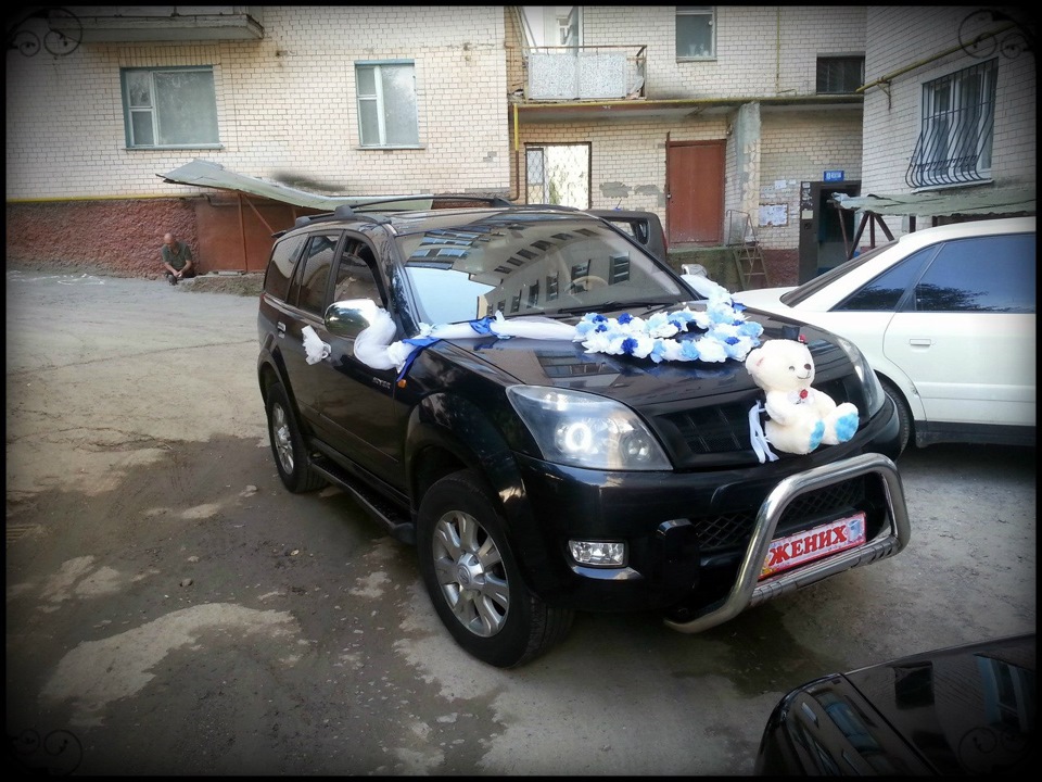 Ошатний хом'як :) 4