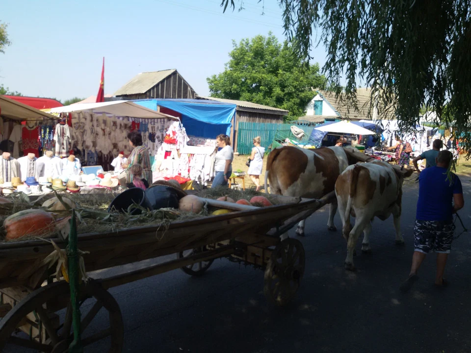 Перша тривала подорож.