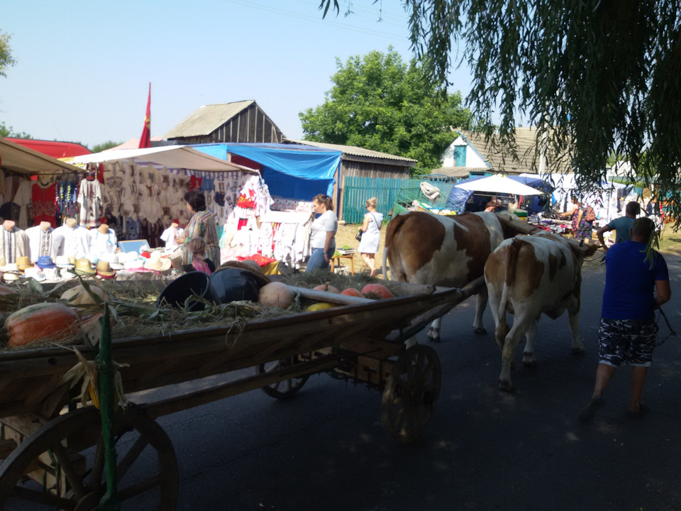 Перша тривала подорож. 1