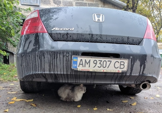 Мелочи по салону 5
