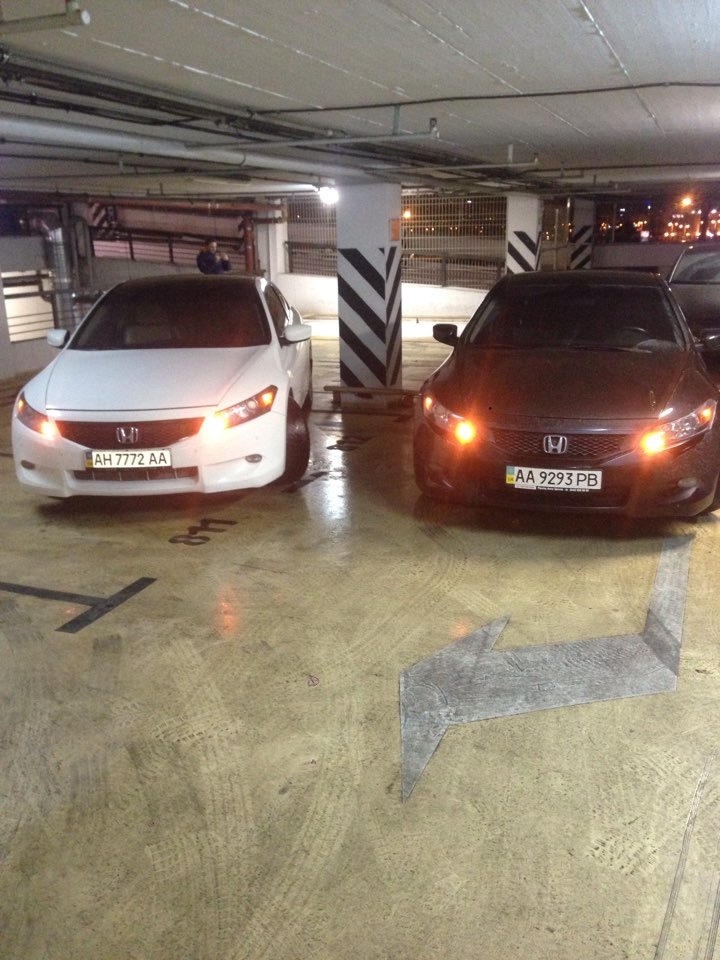 Honda Accord Coupe сходка 2