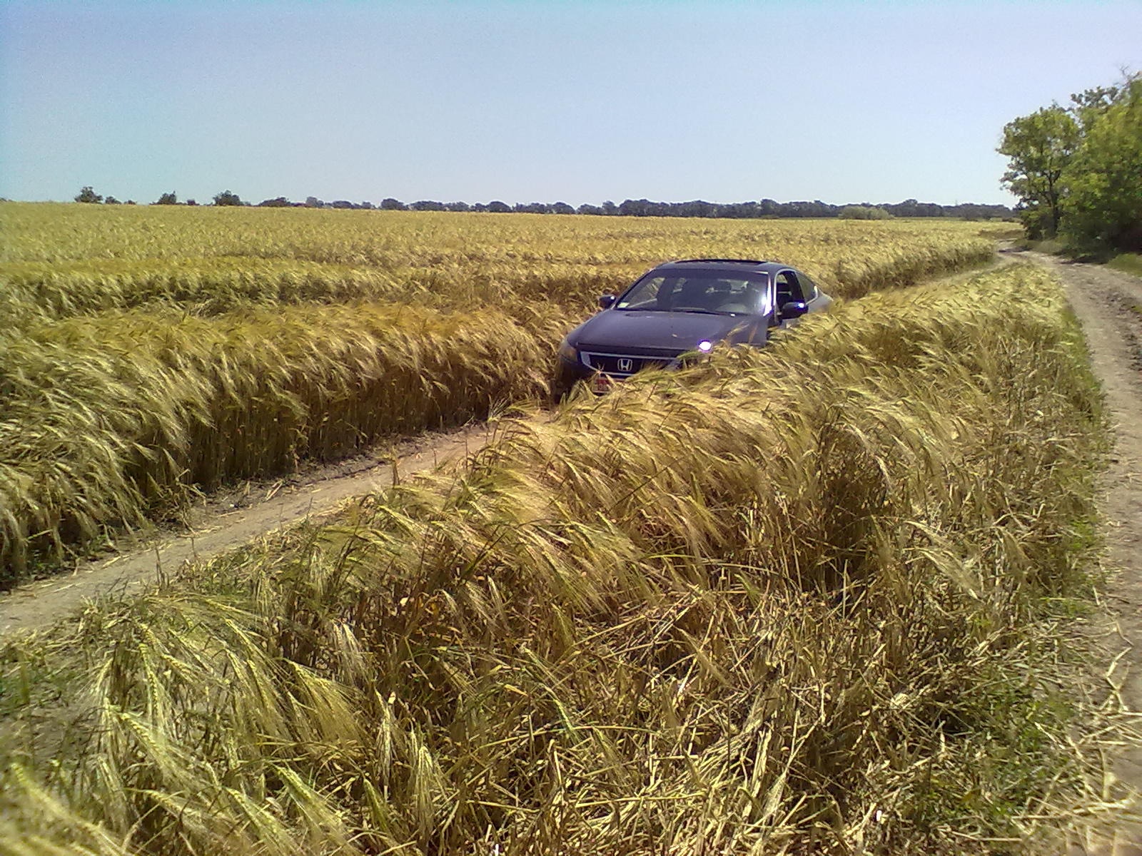 Запис, 8 червня 2010 2