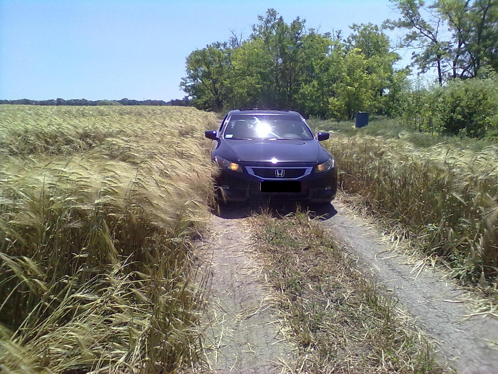 Запис, 8 червня 2010 1