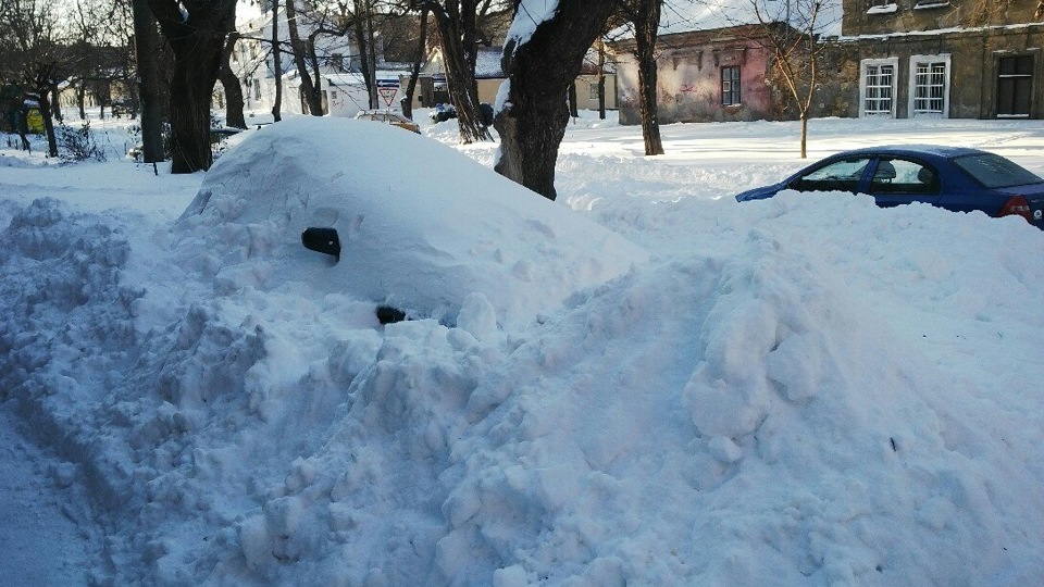 Тріфото пост 1