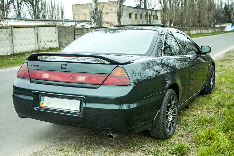 Весняний настрій 3