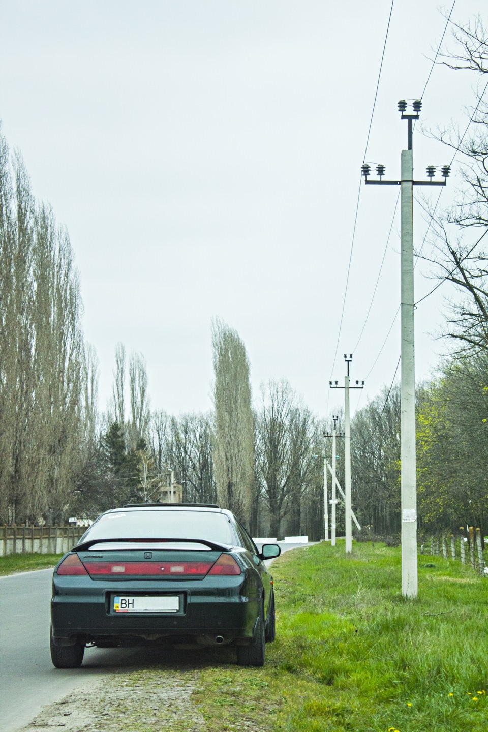 Весняний настрій 1