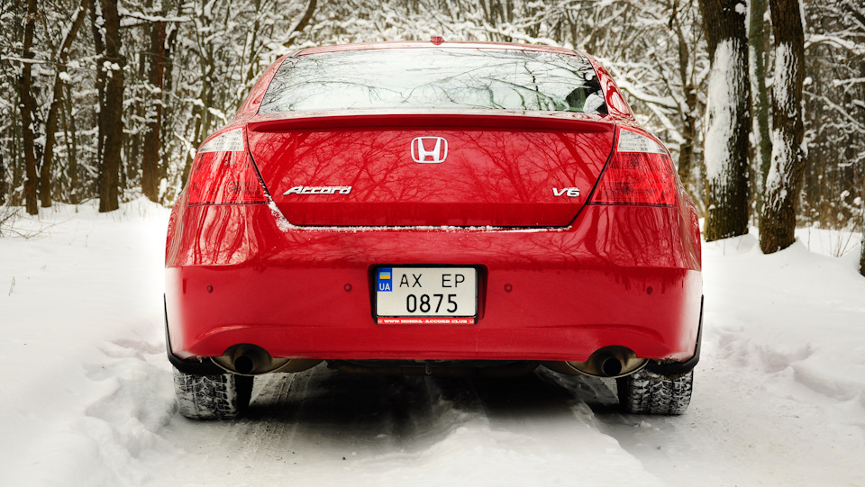 Зимовий фотосет: White and San Marino Red 5