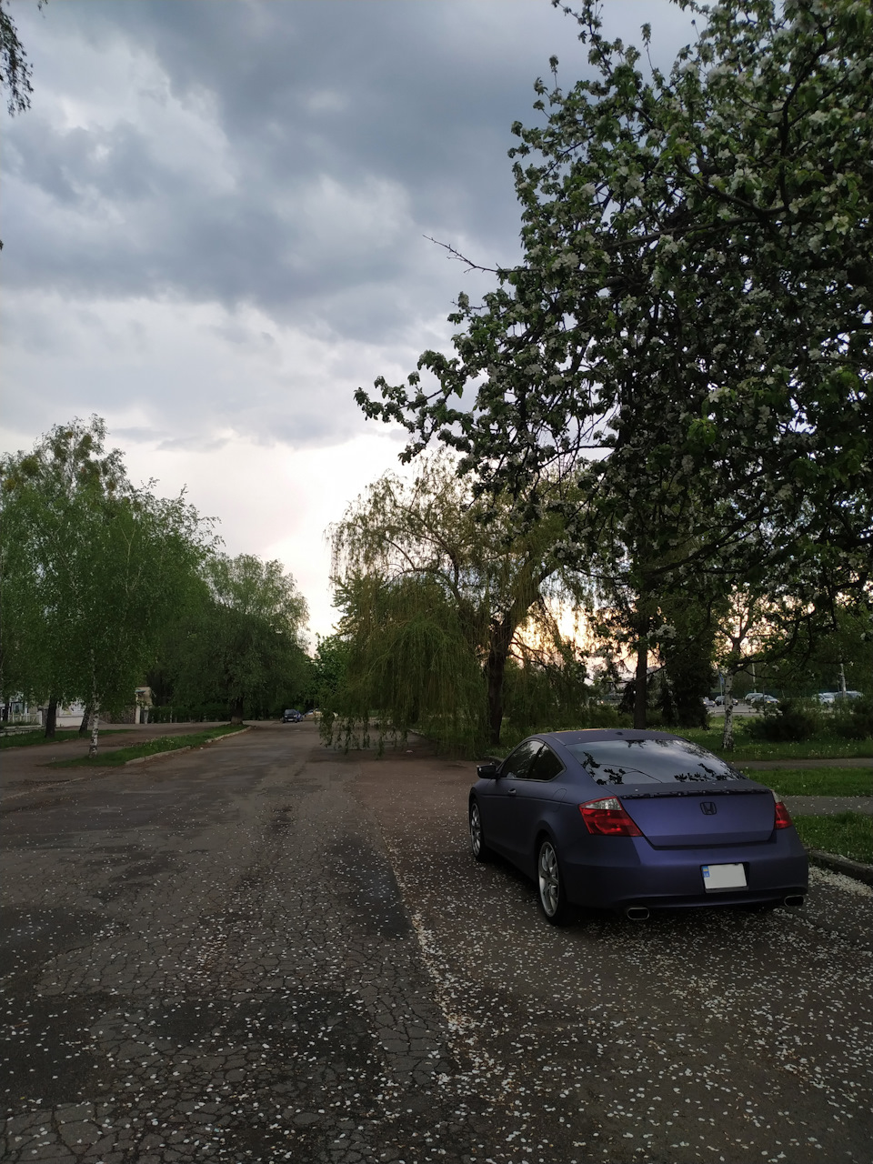Травневі фотографії 3