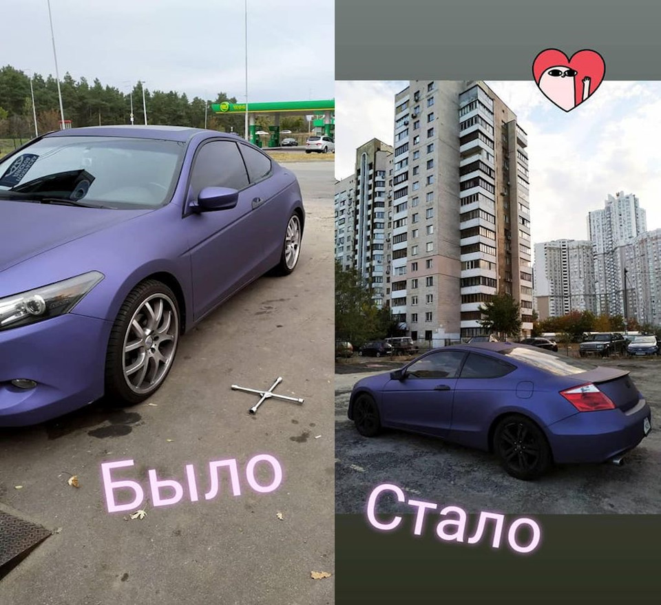 Пташка до зими готова! 1