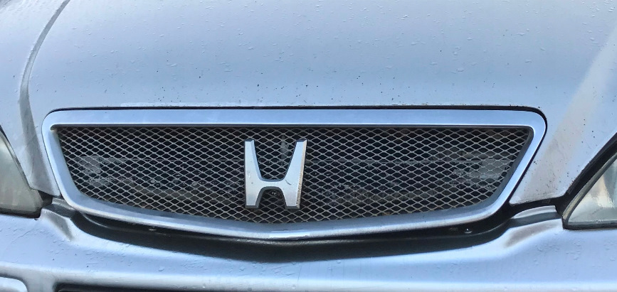 Новий Grille))) 1