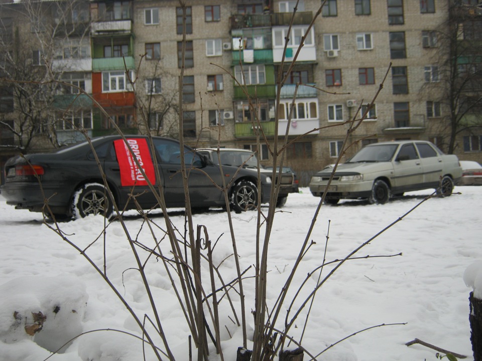 на подвір'ї 1