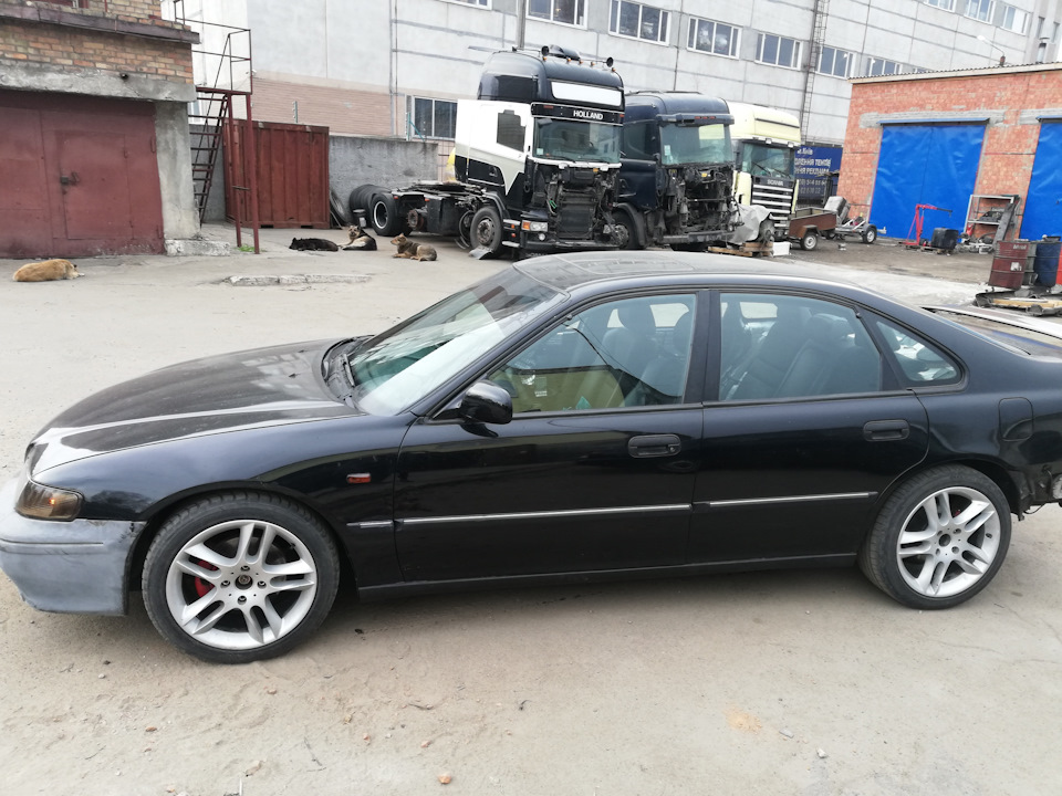 Тонування авто. 1
