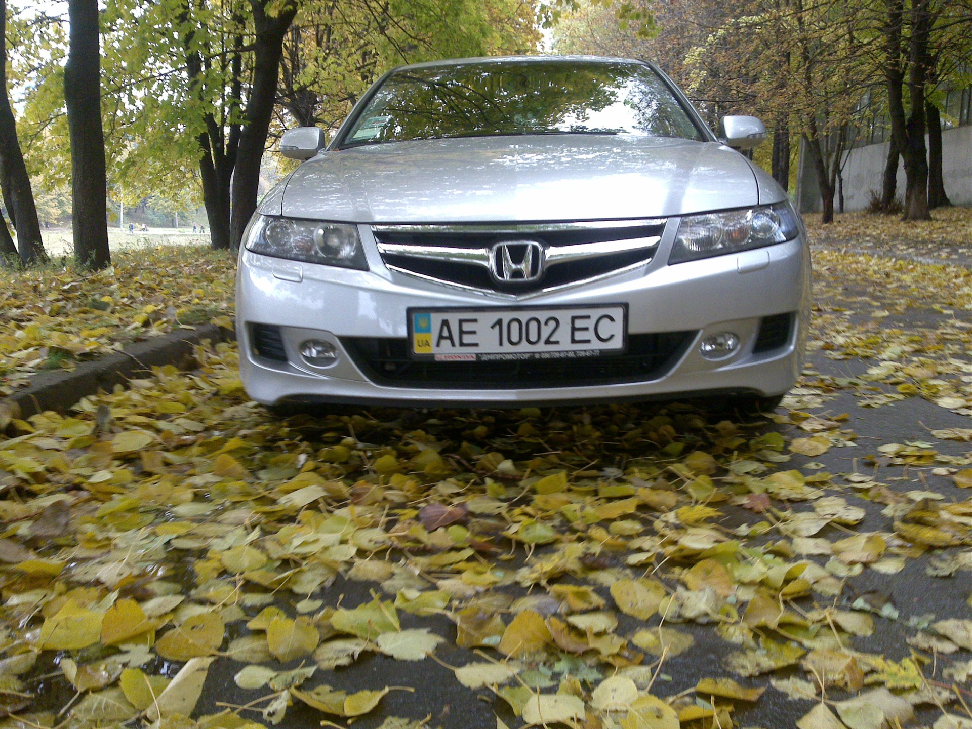 просто осень. 2