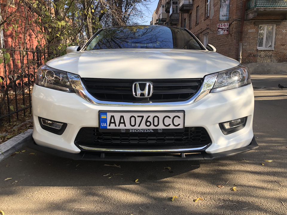 Губа 1